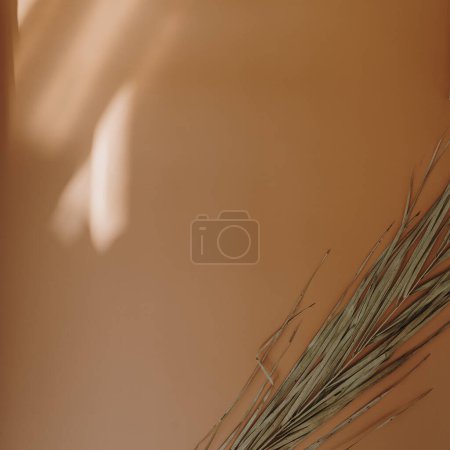 Photo for Elegant aesthetic dried palm leaf stem with sunlight shadows on warm orange background with copy space. Boho stylish still life flower composition - Royalty Free Image