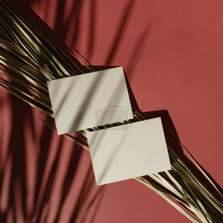 Foto de Tarjeta de hoja de papel con espacio de copia maqueta en blanco y hojas secas de palma tropical sobre un fondo cálido bronceado con silueta de sombra en suave luz solar - Imagen libre de derechos
