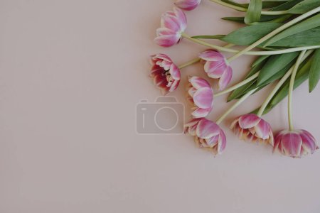 Photo for Pink tulip flowers bouquet on neutral pastel pink background. Minimal aesthetic stylish floral composition with copy space - Royalty Free Image