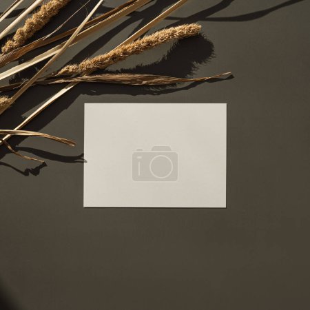 Photo for Blank paper sheet card with mockup copy space, dry pampas grass, soft sunlight shadows on deep green background. Aesthetic flat lay, top view minimal business brand template - Royalty Free Image
