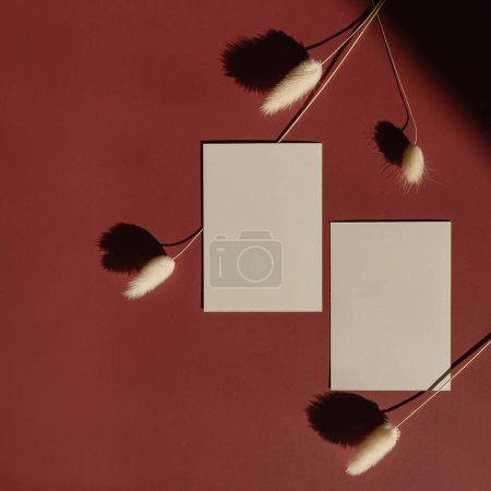 Photo for Blank paper sheet card with mockup copy space. Red background with sunlight shadows silhouette. Rabbit tail grass - Royalty Free Image