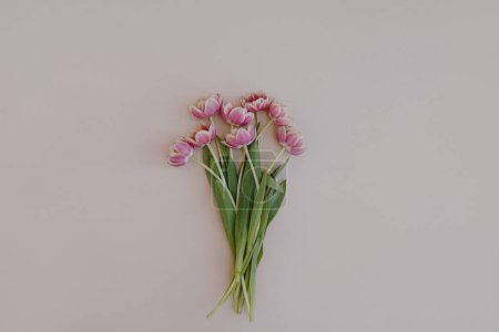 Foto de Delicado ramo de flores de tulipán sobre fondo rosa neutro - Imagen libre de derechos
