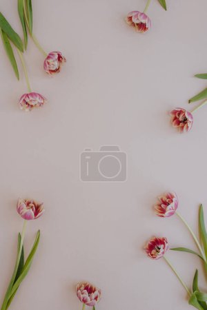 Foto de Marco de flores de tulipán con espacio de copia en blanco sobre fondo rosa. Piso tendido, vista superior - Imagen libre de derechos