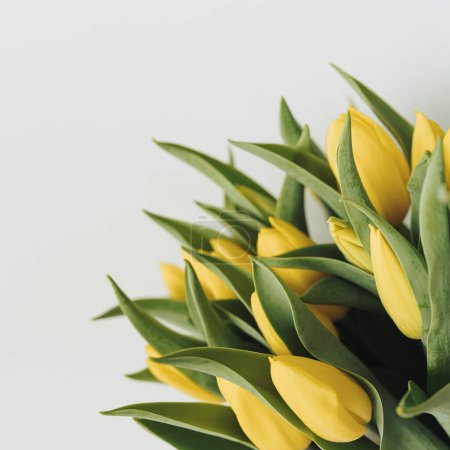 Foto de Hermoso ramo de flores de tulipán amarillo estético sobre fondo blanco. Composición de primer plano floral minimalista - Imagen libre de derechos