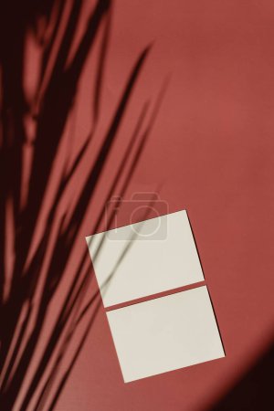 Téléchargez les photos : Paper sheet card with blank mockup copy space on red tan background with palm leaves floral shadow silhouette in soft sun light - en image libre de droit