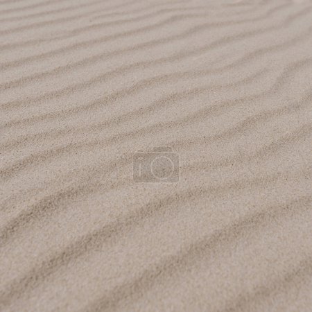 Téléchargez les photos : Abstract minimal hot summer vacation texture. Closeup view of beach or desert dune sand waves. Aesthetic neutral colour nature landscape - en image libre de droit