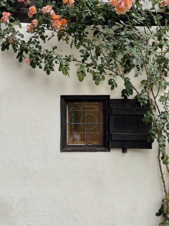 Foto de Window with wooden shutters, flowers and leaves, neutral colour wall. Traditional European old town building. Old ancient historic architecture - Imagen libre de derechos
