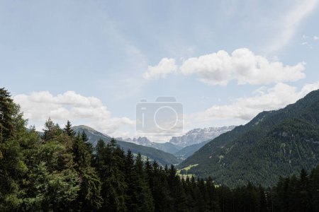 Téléchargez les photos : Paysage forêt de montagne, ciel nuageux - en image libre de droit