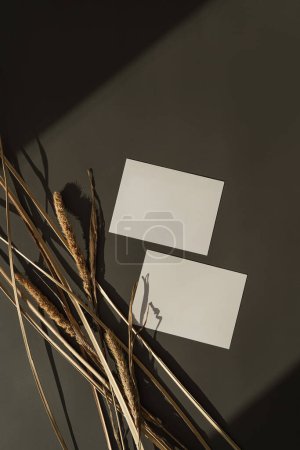 Photo for Paper sheet card with blank mockup copy space and dried grass stalks on dark background with shadow silhouette in soft sun light - Royalty Free Image