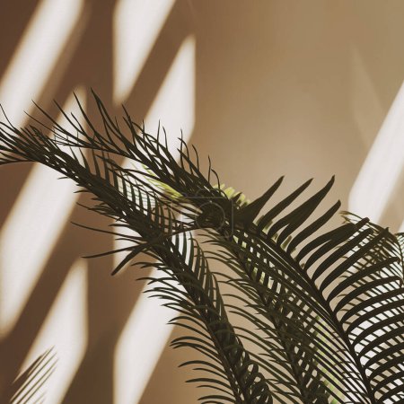 Foto de Fondo de hojas de palma exóticas tropicales. Estética composición floral mínima con sombras de luz solar en la pared - Imagen libre de derechos