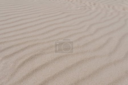 Foto de Playa beige arena olas textura superficial. Paisaje dunas del desierto - Imagen libre de derechos
