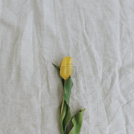 Téléchargez les photos : Délicate fleur de tulipe jaune élégante sur fond de tissu de lin froissé avec espace de copie. Simple esthétique minimaliste pose plate, composition florale vue de dessus - en image libre de droit