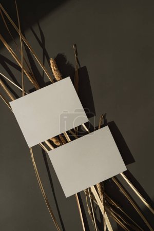 Photo for Blank paper sheet cards with mockup copy space, fluffy dried pampas grass in aesthetic warm sunlight shadow on dark background. Minimal business brand template. Flat lay, top view - Royalty Free Image