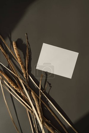 Photo for Blank paper sheet card with mockup copy space. Dark grey background with sunlight shadows silhouette. Dried grass stems - Royalty Free Image