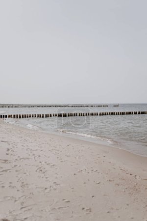 Téléchargez les photos : Chemin de sable vers la mer. Plage avec vue sur mer calme - en image libre de droit
