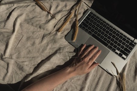 Photo for Aesthetic luxury bohemian minimalist home office workspace. Person working on laptop computer. Notebook, linen fabric, dried grass with soft sunlight shadows. Flat lay, top view work, business concept - Royalty Free Image