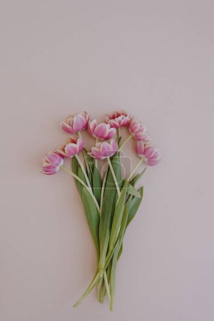 Photo for Pink tulip flowers bouquet on neutral pastel pink background. Minimal aesthetic stylish floral composition - Royalty Free Image