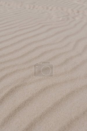 Téléchargez les photos : Plage beige neutre motif vagues de sable texture. Ondes de sable des dunes du désert - en image libre de droit