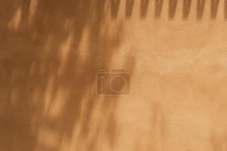 Foto de Sombras estéticas de flores a la luz del sol. Silueta floral sobre fondo naranja neutro. Sombras de luz solar en la pared - Imagen libre de derechos