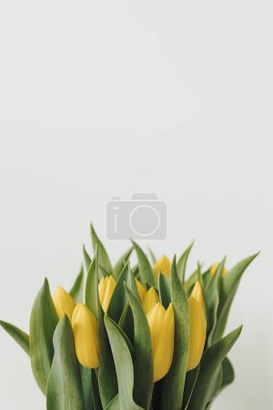 Foto de Ramo de flores de tulipán amarillo sobre fondo blanco - Imagen libre de derechos