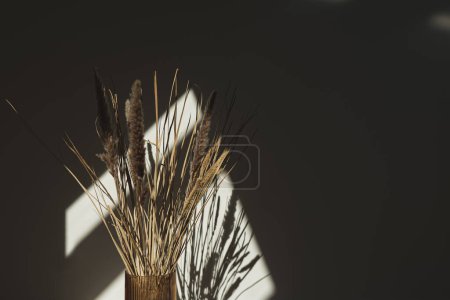 Téléchargez les photos : Bouquet d'herbe pampa séchée dans un vase élégant avec des ombres sur le mur. Silhouette au soleil. Composition florale minimale esthétique - en image libre de droit