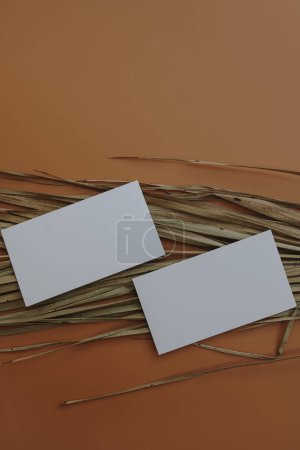 Photo for Blank paper sheet card with mockup copy space, dry palm leaf on orange background. Flat lay, top view aesthetic minimal business brand template - Royalty Free Image