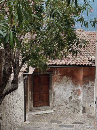 Téléchargez les photos : Ancien bâtiment en pierre avec porte et arbre - en image libre de droit