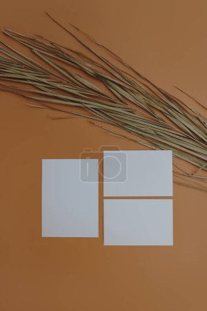 Photo for Blank paper sheet cards with mockup copy space, dried palm leaf on orange background. Aesthetic bohemian minimal business brand template. Flat lay, top view - Royalty Free Image
