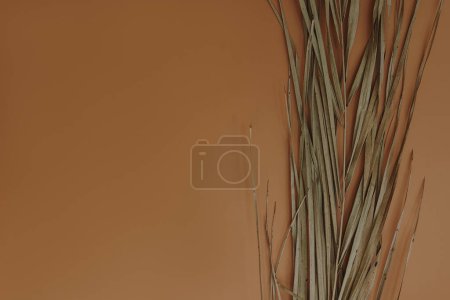 Foto de Elegante estético tallo de hoja de palma seca sobre fondo naranja con espacio para copiar. Boho elegante bodegón composición flor - Imagen libre de derechos