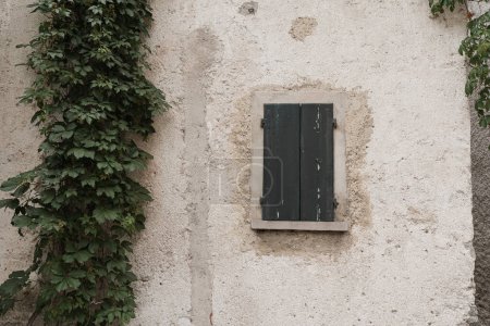 Téléchargez les photos : Architecture rustique italienne. Façade ancienne avec buisson, fenêtre en bois et mur beige neutre. Esthétique concept de voyage vacances d'été - en image libre de droit