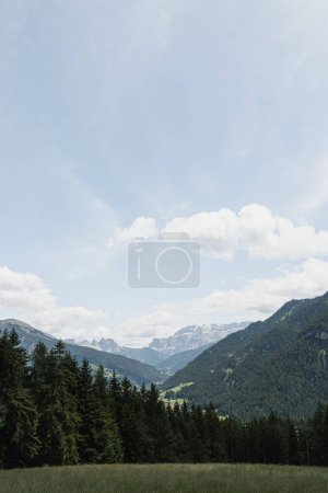 Téléchargez les photos : Montagne forêt paysage, champ, ciel avec nuages - en image libre de droit