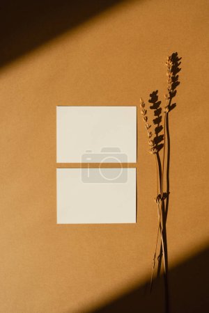 Téléchargez les photos : Carte de feuille de papier avec espace de copie de maquette vierge et herbe de fleur séchée sur fond bronzé chaud avec silhouette d'ombre dans la lumière douce du soleil - en image libre de droit