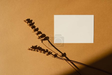 Photo for Paper sheet card with blank mockup copy space and dried flower grass on warm tan background with shadow silhouette in soft sun light - Royalty Free Image