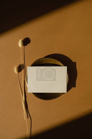 Téléchargez les photos : Paper card sheet with blank mockup copy space and dried rabbit tail grass on warm tan background. Aesthetic sunlight shadow silhouette. Luxury bohemian minimal invitation or business card template - en image libre de droit