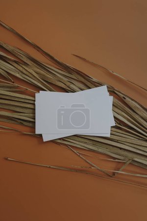 Téléchargez les photos : Feuille de papier avec espace de copie sur fond orange avec feuille de palmier - en image libre de droit