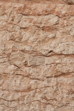 Foto de Textura de roca de coral agrietada. Patrón de fondo abstracto - Imagen libre de derechos