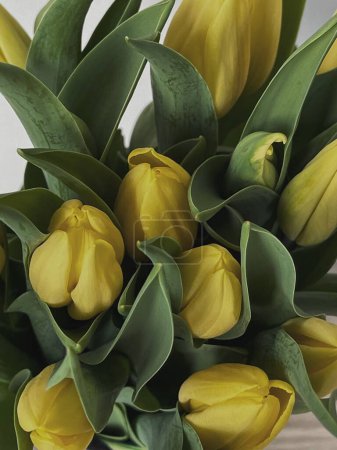 Foto de Ramo de flores de tulipán amarillo sobre fondo blanco. Minimalista elegante composición floral estética - Imagen libre de derechos