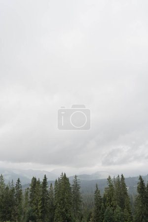 Téléchargez les photos : Montagne colline, forêt, ciel et nuages. Paysage naturel pittoresque - en image libre de droit