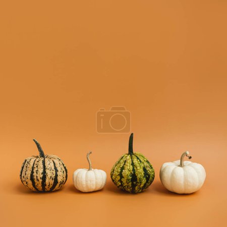 Foto de Hermosas calabazas decorativas sobre fondo naranja jengibre. Otoño otoño temporada concepto - Imagen libre de derechos