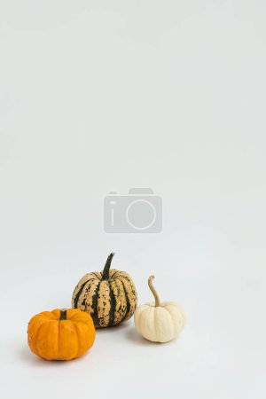 Téléchargez les photos : Petites citrouilles décoratives sur fond blanc. Automne, automne, Thanksgiving ou concept d'Halloween. Espace de copie - en image libre de droit