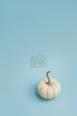 Photo for Decorative pumpkin. Aesthetic autumn, fall, thanksgiving, halloween creative concept with copy space - Royalty Free Image