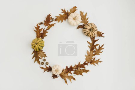 Foto de Composición otoño-otoño. Marco redondo de hojas secas de roble, bellotas y calabazas sobre fondo blanco con espacio de copia en blanco - Imagen libre de derechos