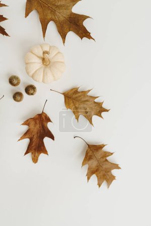 Photo for Dried oak leaves, acorns and pumpkin on white background with copy space. Flat lay, top view - Royalty Free Image