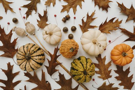 Téléchargez les photos : Modèle automne automne. Feuilles de chêne séchées, glands, citrouilles sur fond blanc - en image libre de droit