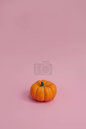 Photo for Small decorative pumpkin on pastel pink background. Autumn, fall, thanksgiving or halloween concept. Copy space - Royalty Free Image