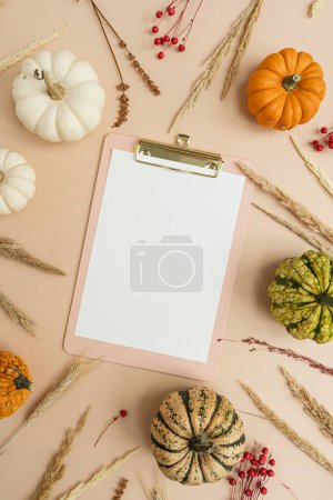 Photo for Clipboard tab with blank paper sheet, small decorative pumpkins and dried grass. Autumn, fall, thanksgiving or halloween concept with mockup copy space. Flat lay, top view - Royalty Free Image