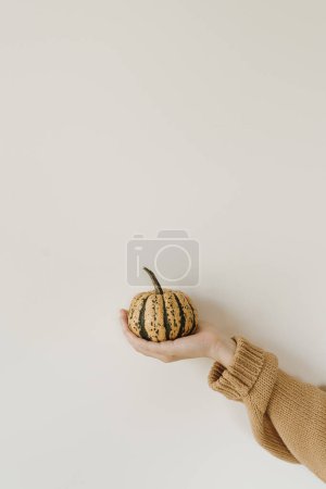 Photo for Women's hand holding decorative pumpkin over white wall - Royalty Free Image