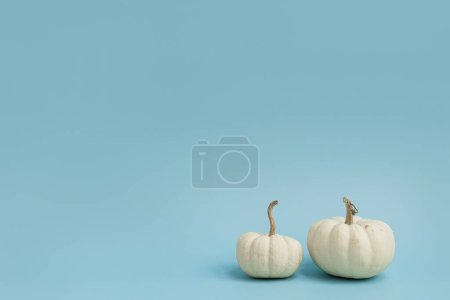 Photo for Small decorative pumpkins on light blue background. Autumn, fall, thanksgiving or halloween concept. Copy space - Royalty Free Image