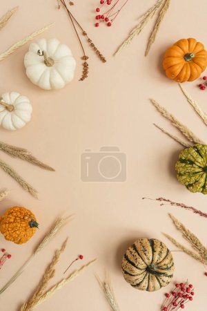 Foto de Marco hecho de hermosas calabazas decorativas y hierba seca. Otoño concepto de temporada de otoño con espacio de copia maqueta. Piso tendido, vista superior - Imagen libre de derechos