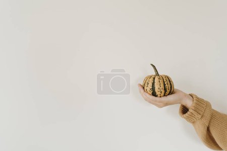 Téléchargez les photos : Main féminine tenant la citrouille. Automne, automne, Action de grâces, concept d'Halloween - en image libre de droit
